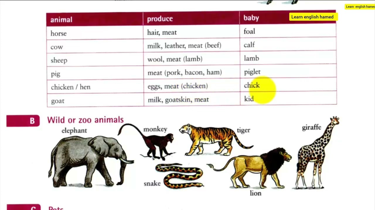 @Vocabulary in use_Elementary_unit_29