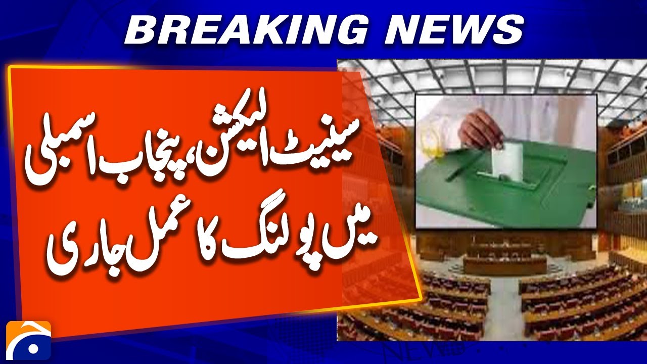 Senate Elections 2025: Polling Underway at Punjab Assembly | Breaking News