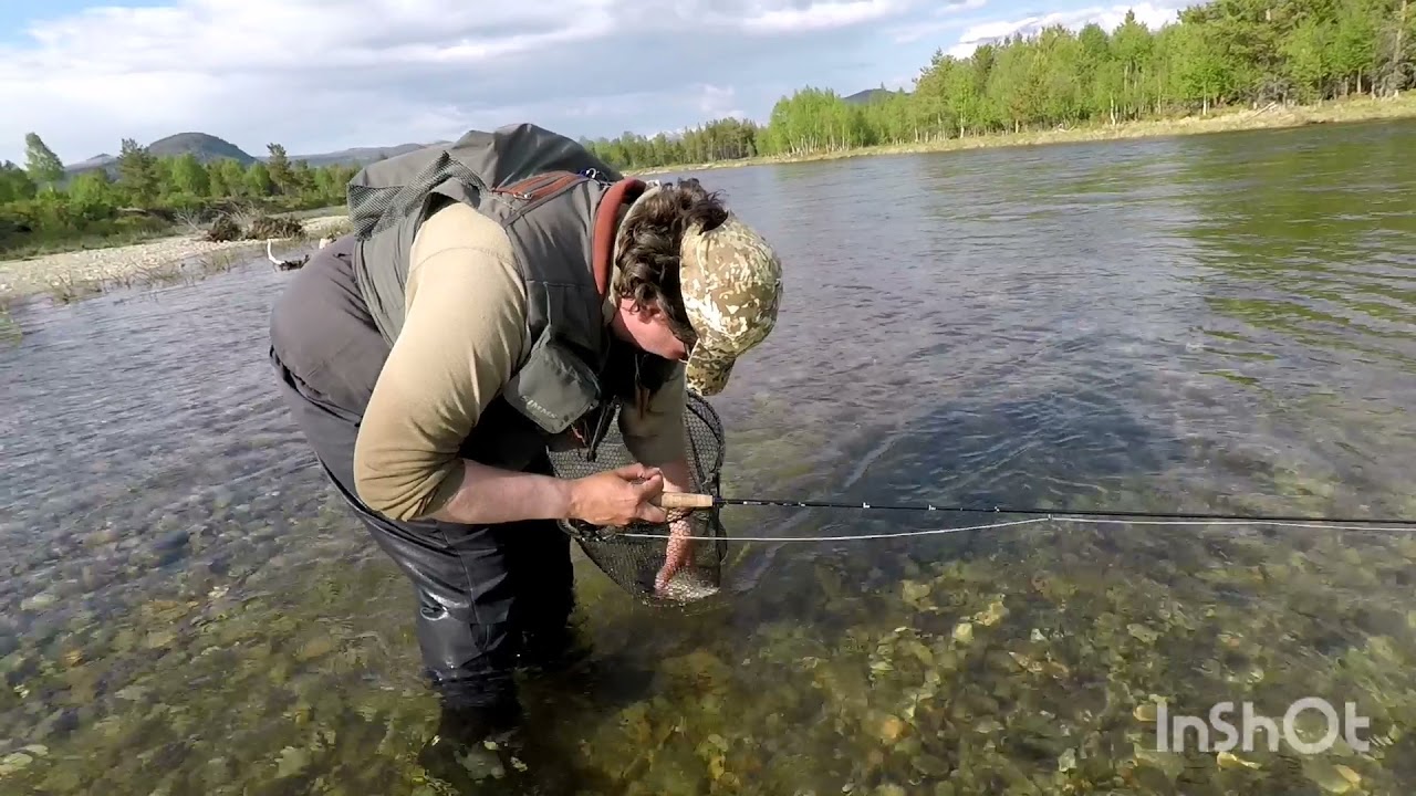 Tour de Hedmark- fly fishing for trout