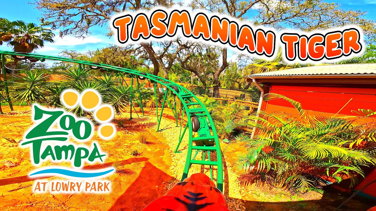 [4K] Tasmanian Tiger - Roller Coaster | Front Row POV | ZooTampa at Lowry Park