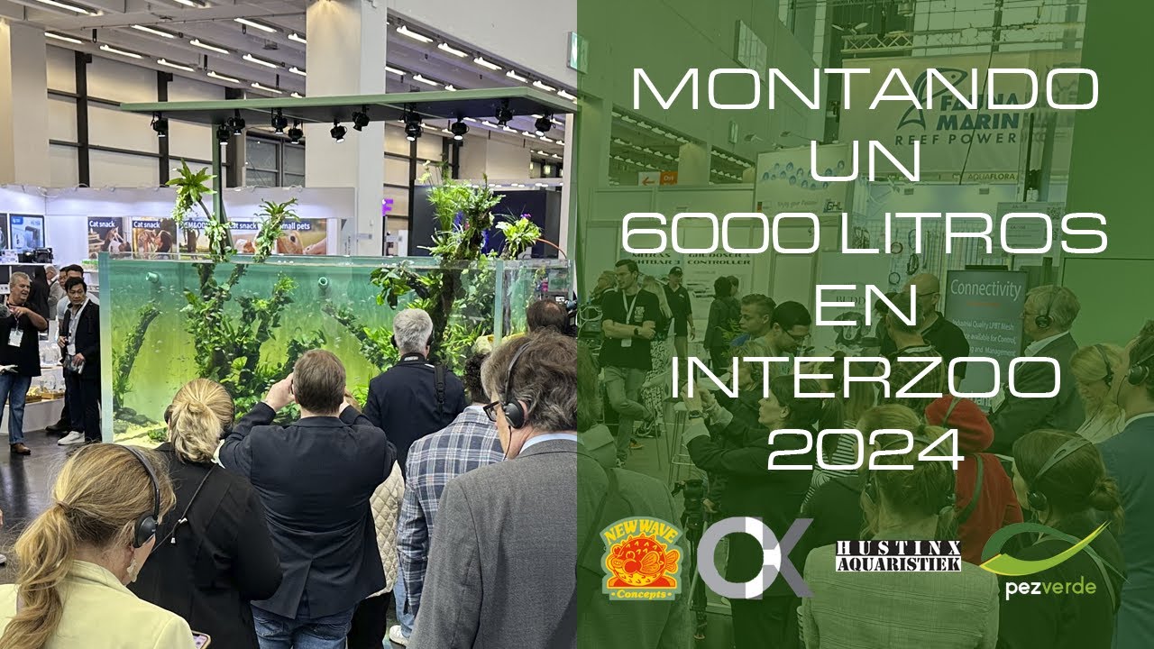 💥Montando un 6000L 💧 para la feria Interzoo 2024 🐡 - PezVerde - New Wave Concepts - Oliver Knott