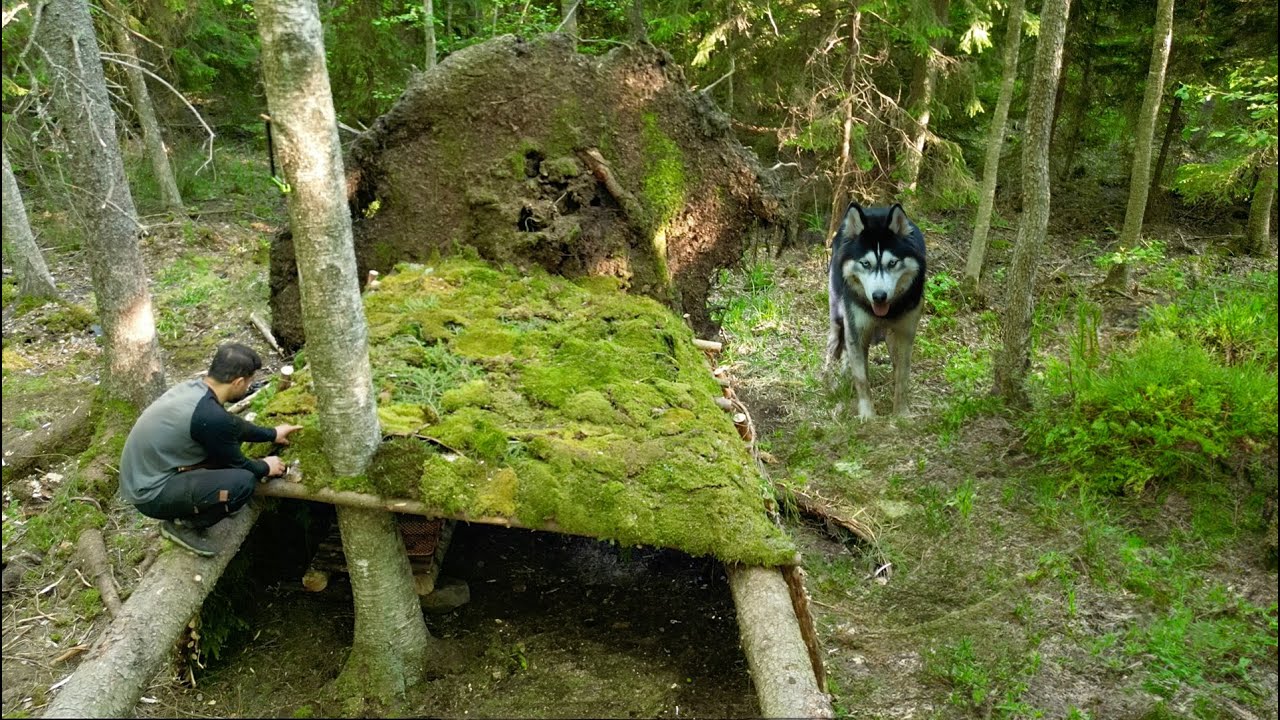 5 Days SURVIVAL Camping - how to build a survival shelter between Two fallen Trees