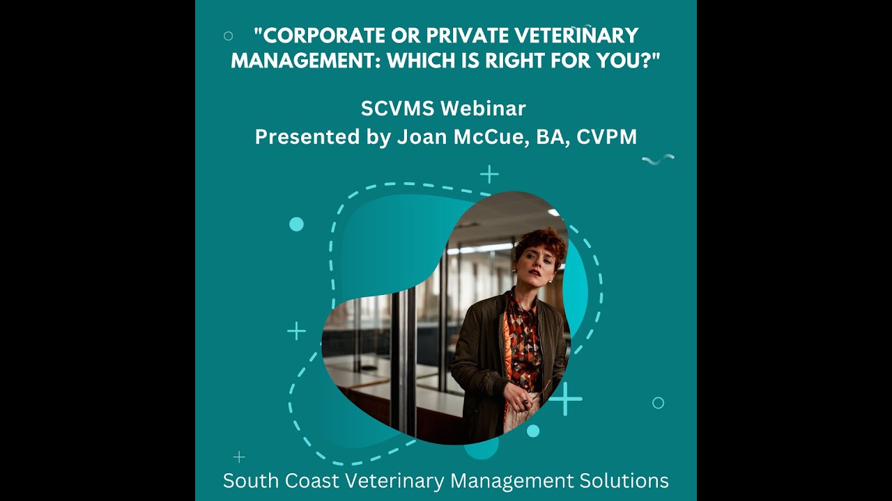 CC Corporate or Private Veterinary Practice, Which Is Right for You?