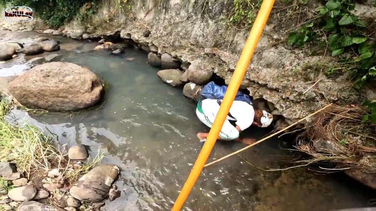 Electro fishing hunting 😱