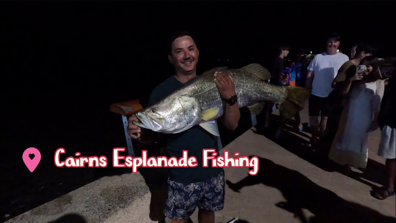 Land Based Fishing Cairns Esplanade Barramundi