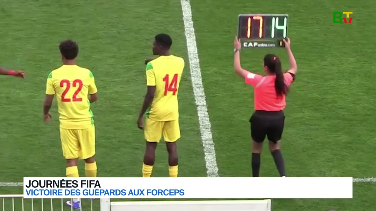 Journ&eacute;e Fifa : victoire des Gu&eacute;pards aux forceps