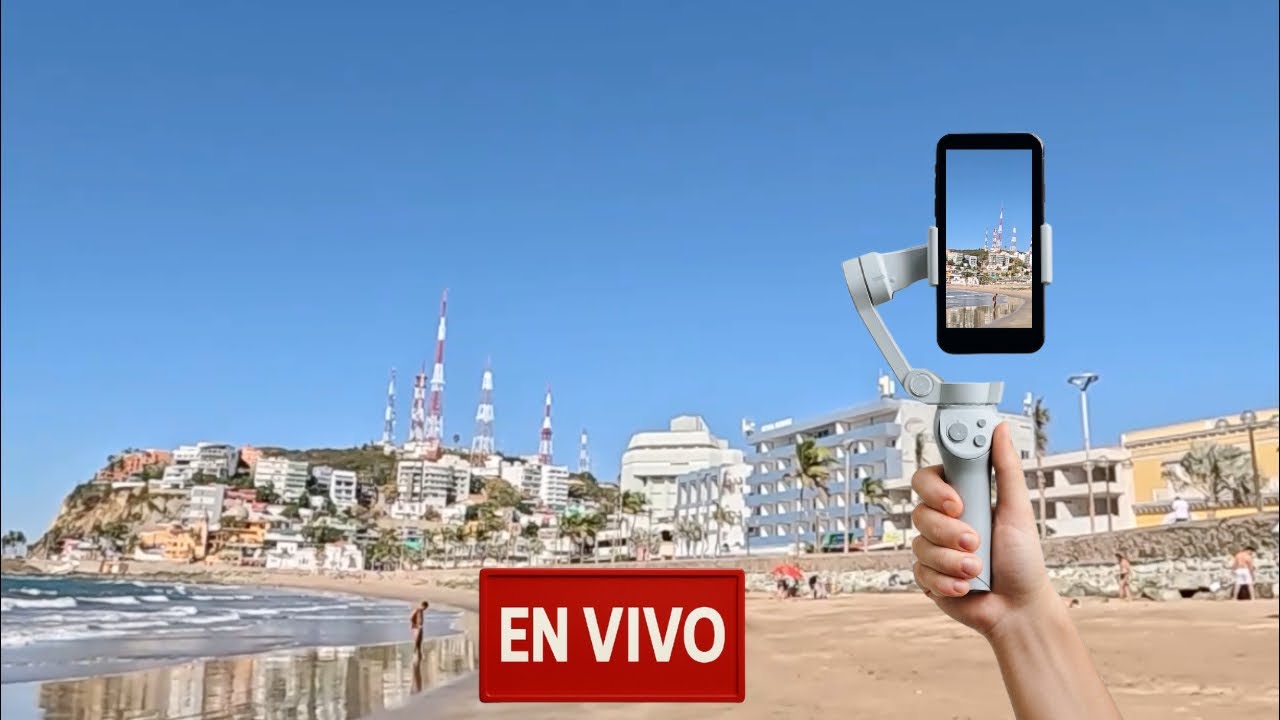 El Pulpo de Mazatlán (y de la CDMX) está en vivo