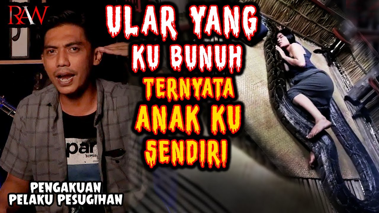 ULAR YG KU 8UNUH TERNYATA ANAKKU SENDIRI || PENGAKUAN PELAKU PESUGlHAN