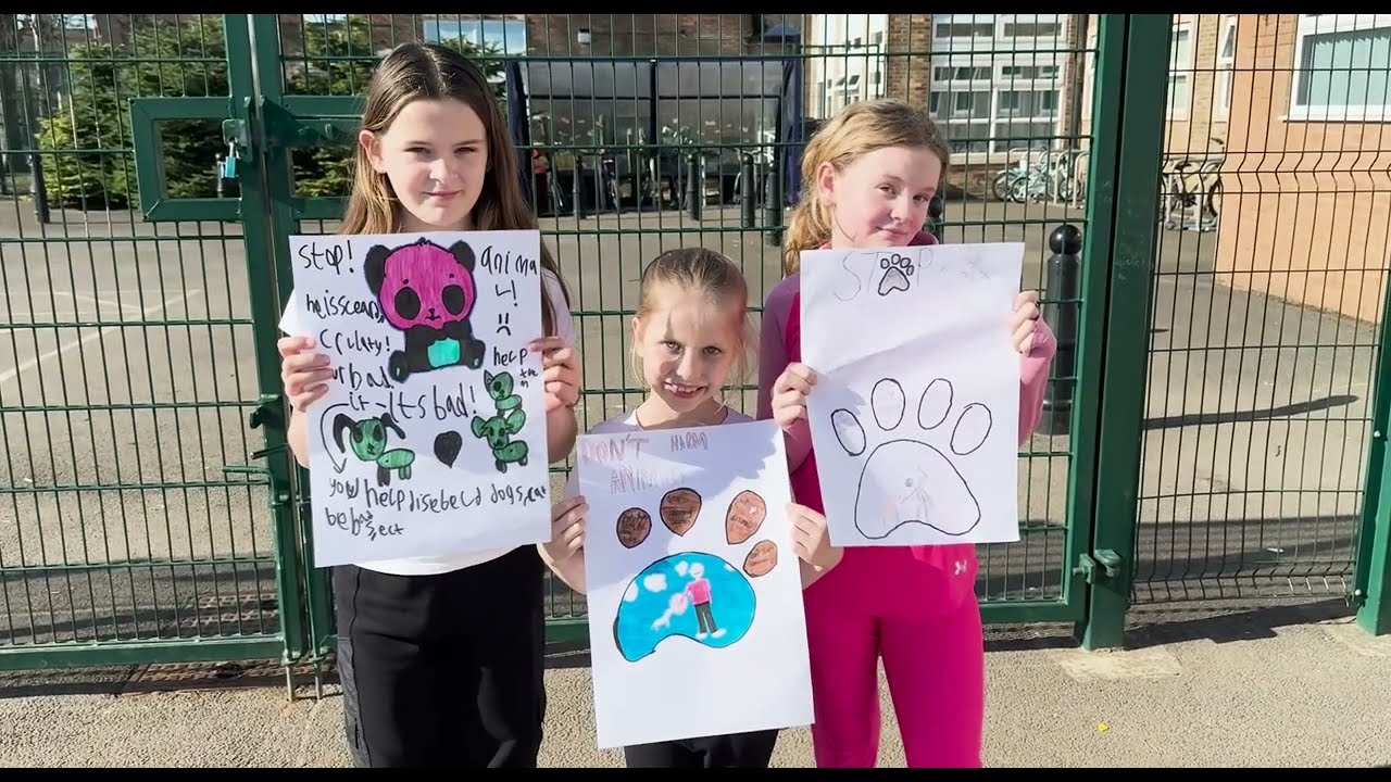 Plover | UKS2 Celebration of Learning