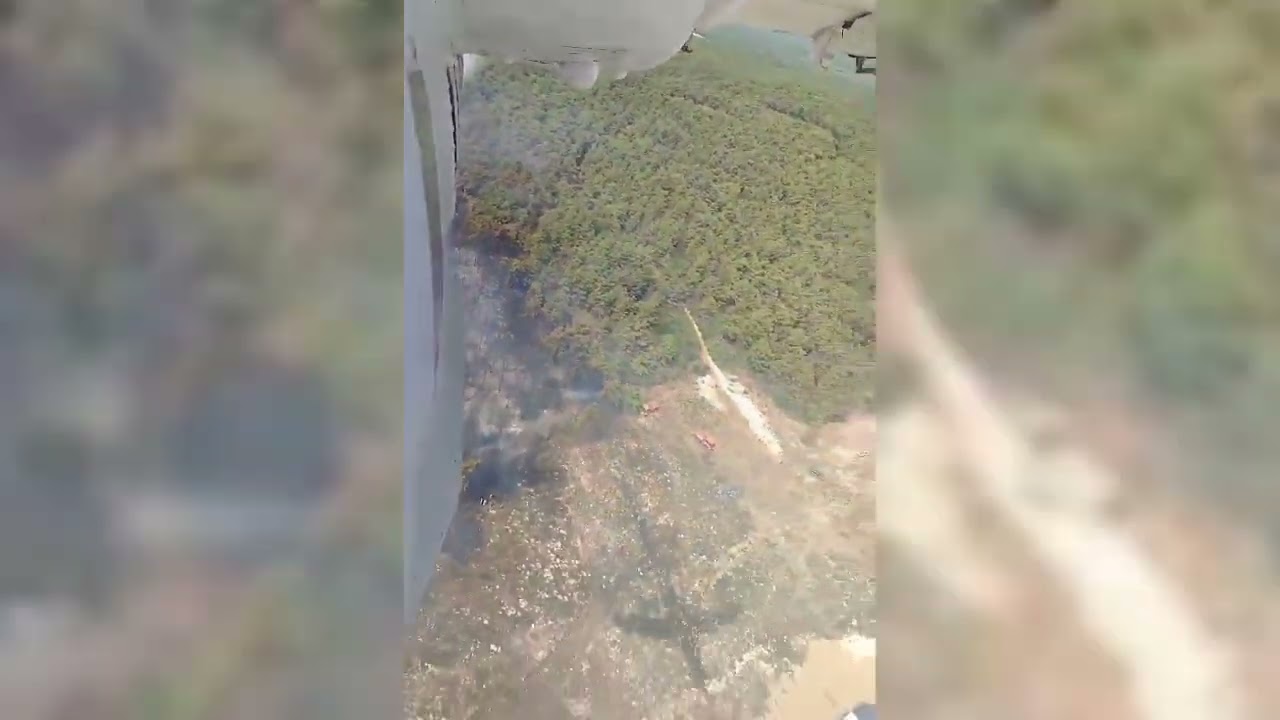 İzmir'de orman yangını...