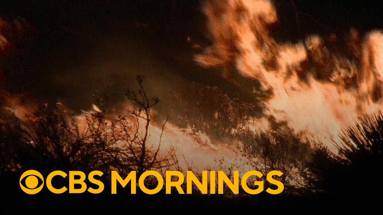 In western U.S., 20 wildfires burn over 100,000 acres