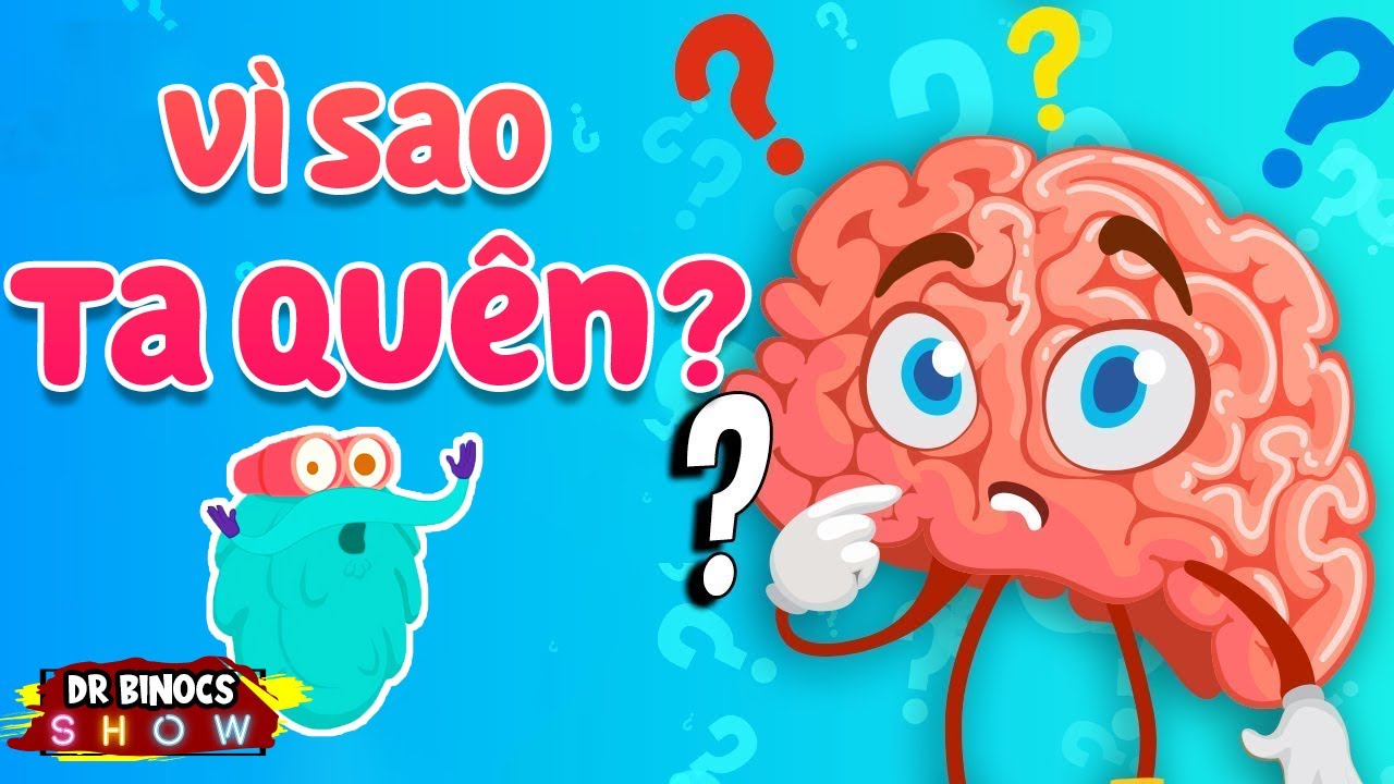 Tại sao bạn bị quên ? | Hiện tượng cơ thể người | Hoạt Hình Khoa Học Vui 2021
