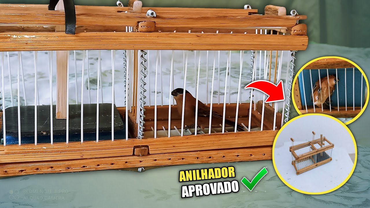 😁 TESTANDO O ANILHADOR VEJA O RESULTADO ! *Aprovado*