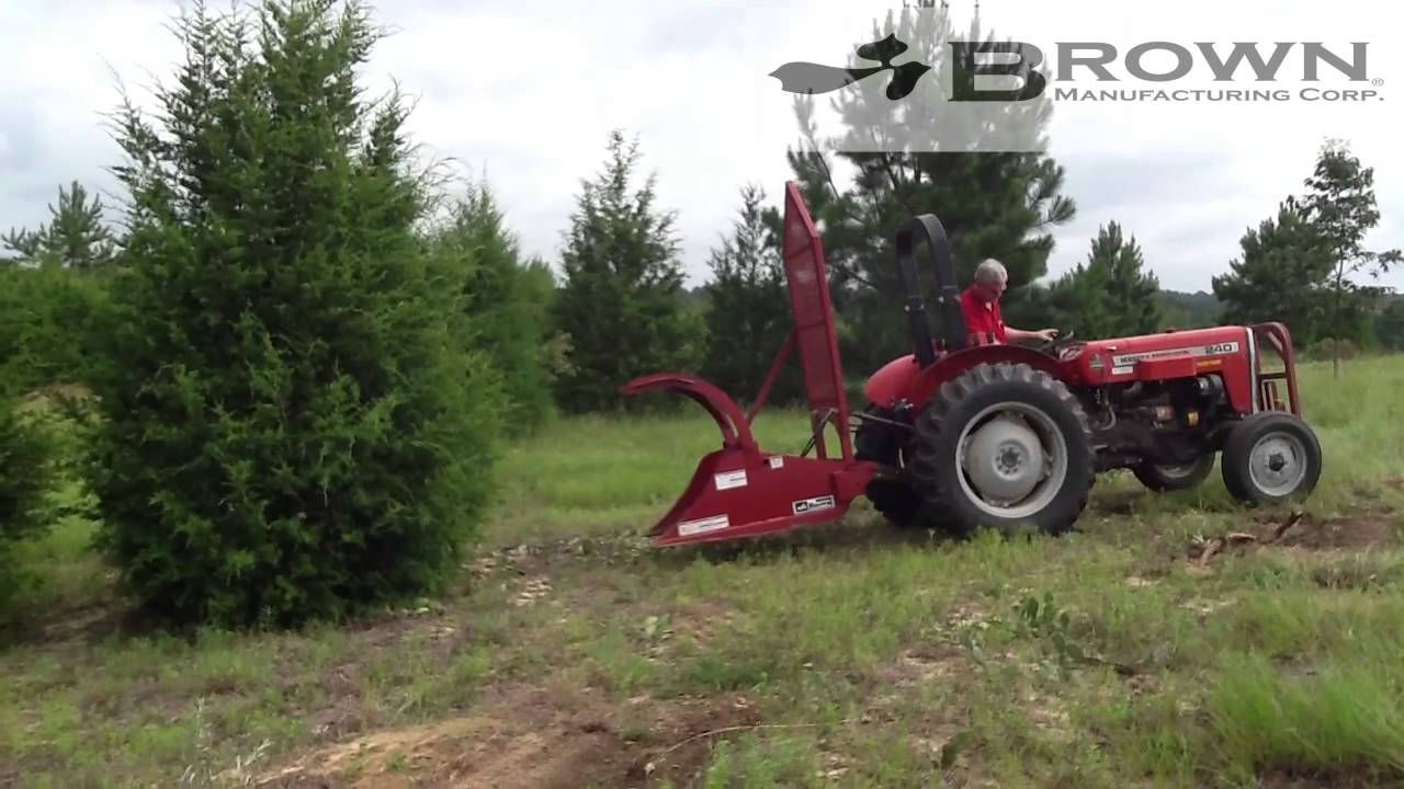 Brown TreeSaw Demo