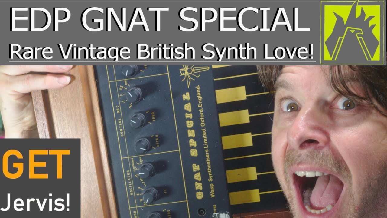 Редкий и красивый винтажный синтезатор Gnat Special