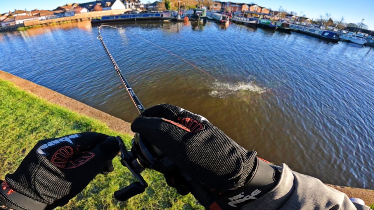 I Went Back to My Old PB Perch Spot… Winter Had Other Plans