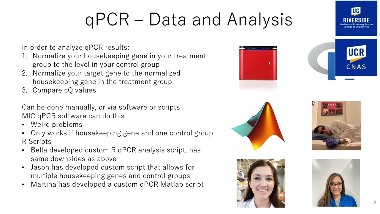 qPCR with SYBR Green and Magnetic Induction Cycler (MIC)