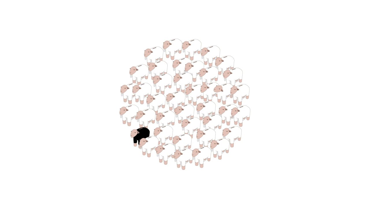 La Pecora bianca