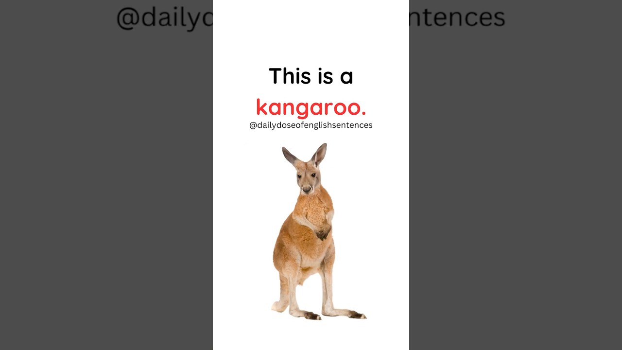 Wild Animals in English: Fun and Easy Vocabulary Lesson 