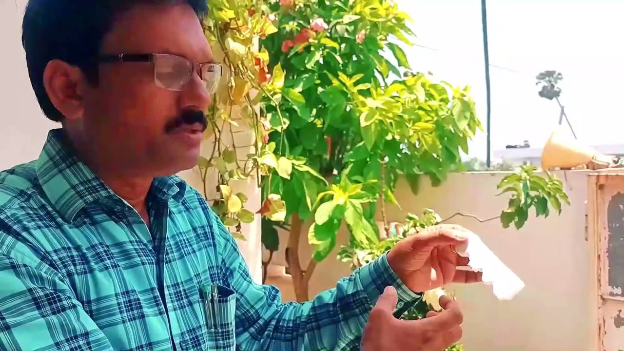 Fresnel Lens Collector by Dr J Chandrasekhar Rao