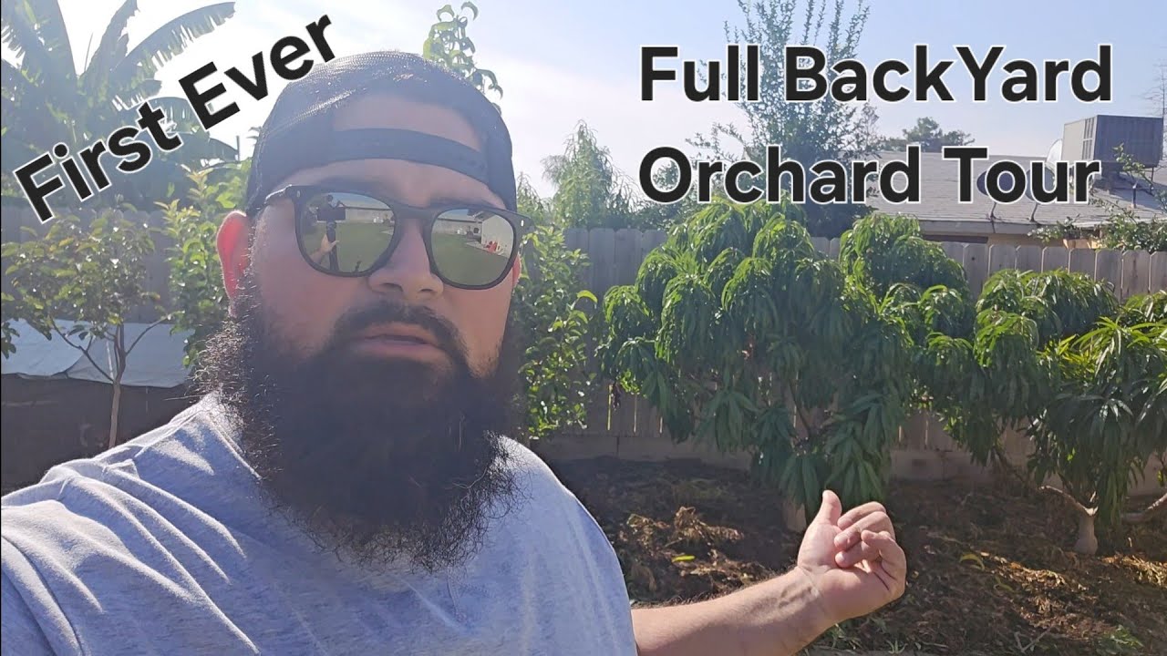 First Ever Full Backyard Orchard Tour 