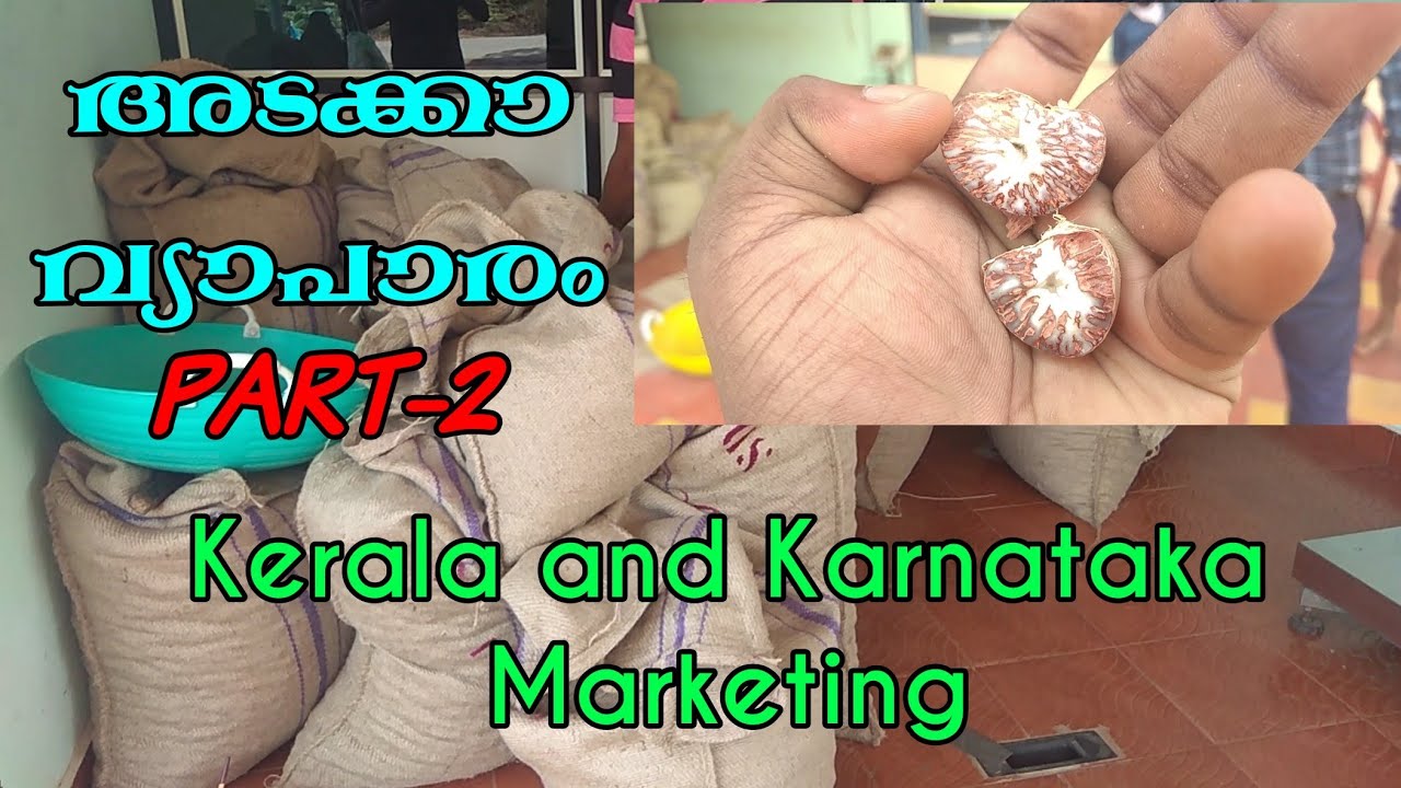 ||അടക്കാ വ്യാപാരം|| Part-2..കര്ണാടകയിലെയും പിന്നെ കേരളത്തിൽനിന്നും കർണാടകയിലേക്കുള്ള market എങ്ങനെ??