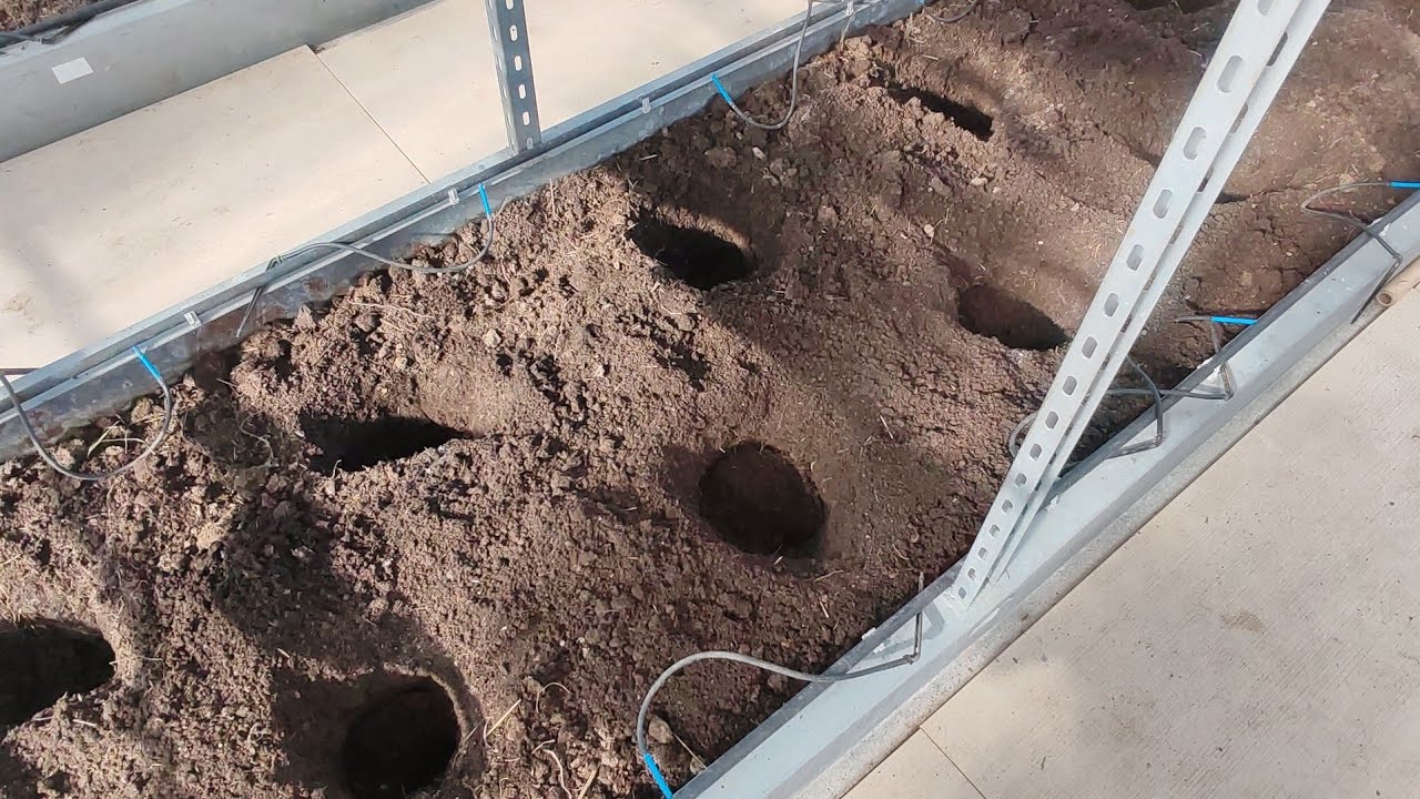 Лунки готовы, осталось посадить 15 марта 2026 г.