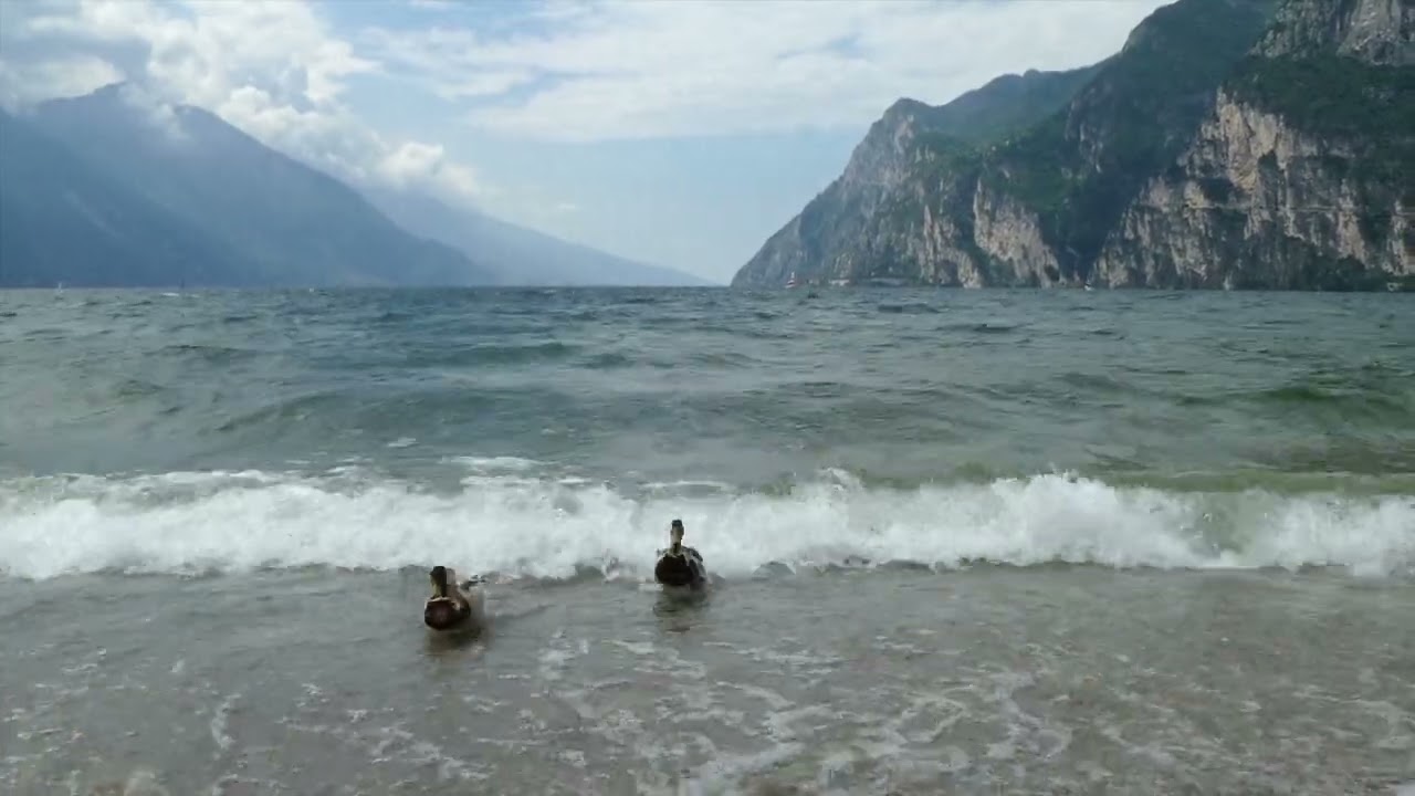 Urlaub am Gardasee