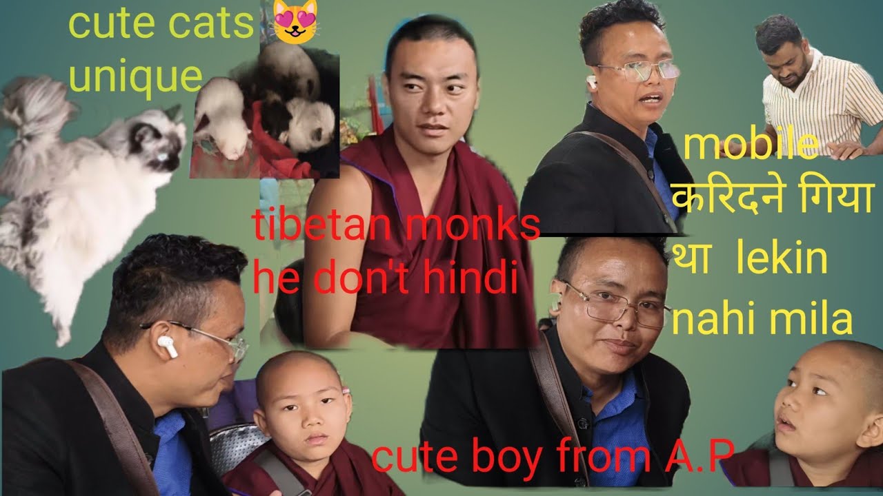The boy he don't know hindi and chakma he belongs to chakma comunity from A.P#cute cats#vlogs 