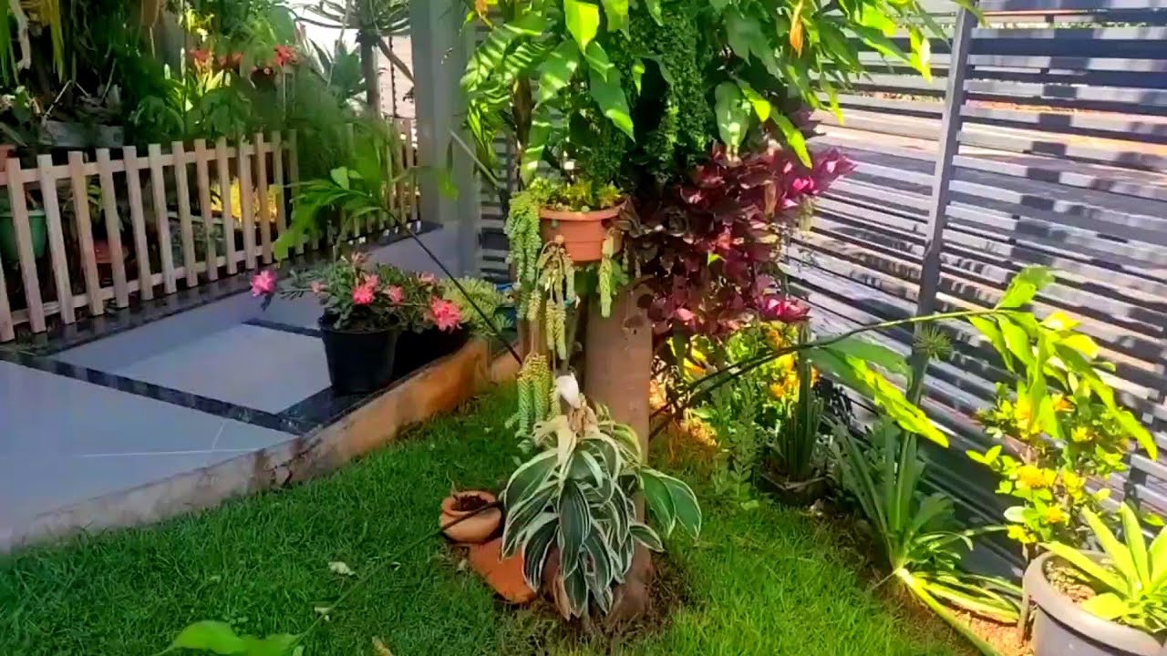 MUITAS PLANTAS LINDAS e BELAS tour 