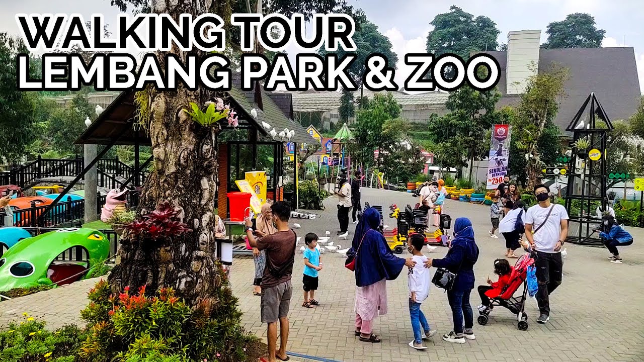 Wisata Kekinian Di Kota Bandung Keliling Lembang Park And Zoo