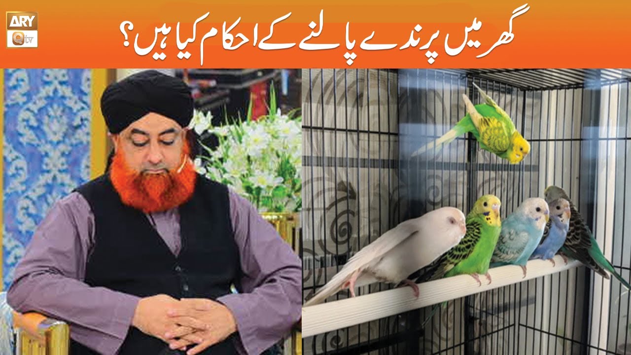 Ghar Main Parinde (Birds) Palne ke Ahkam | Mufti Akmal