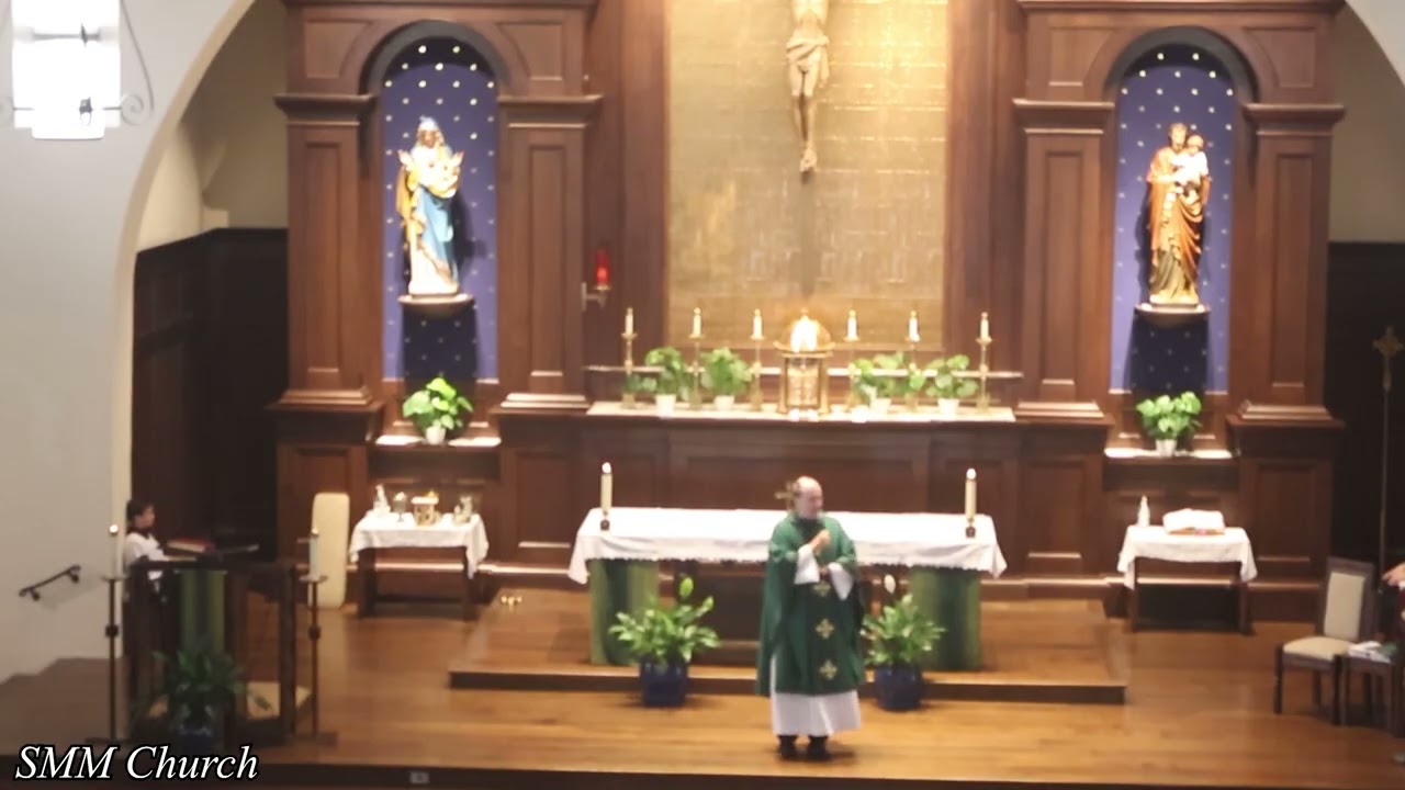 Gospel Homily 2 15 26