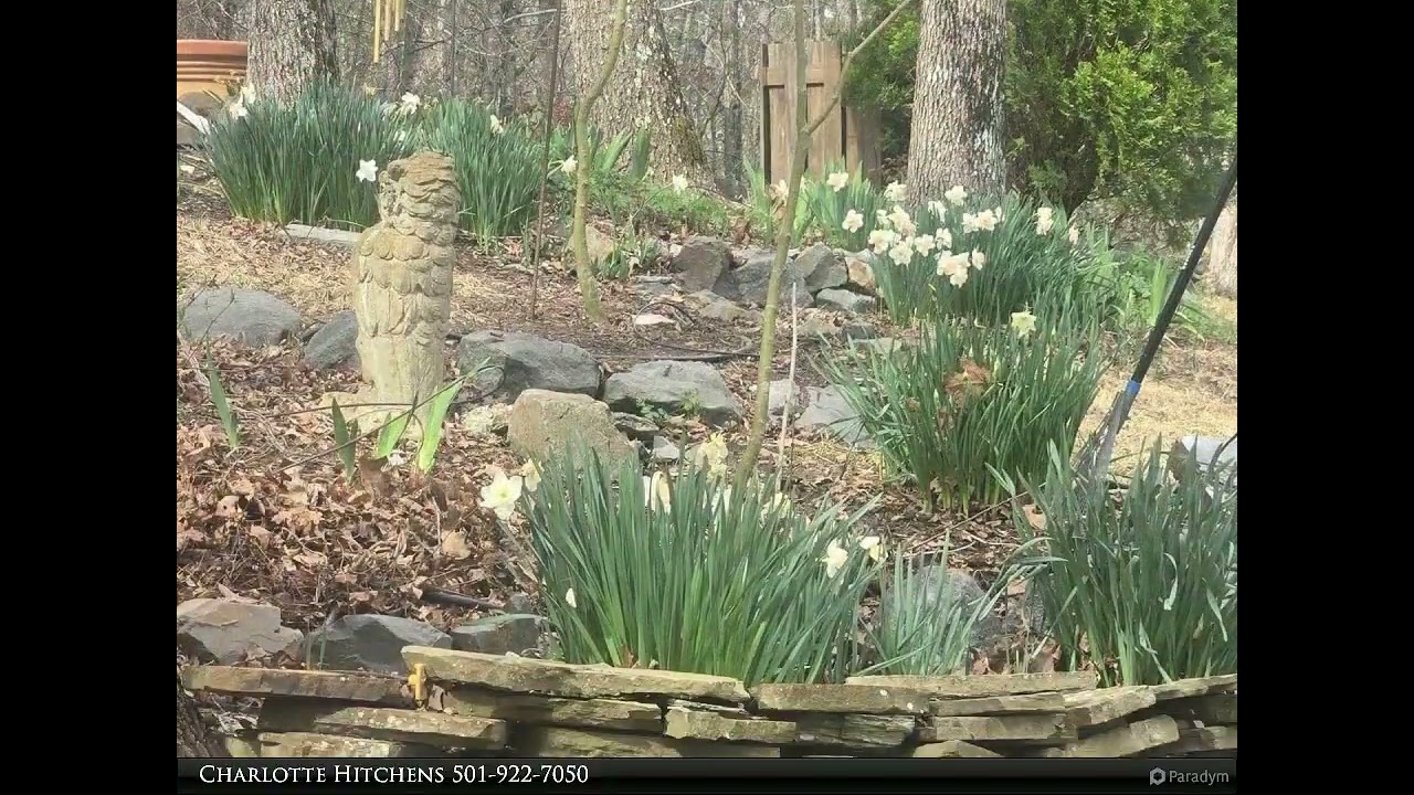 RE/MAX of Hot Springs Village - 6 Buque Way