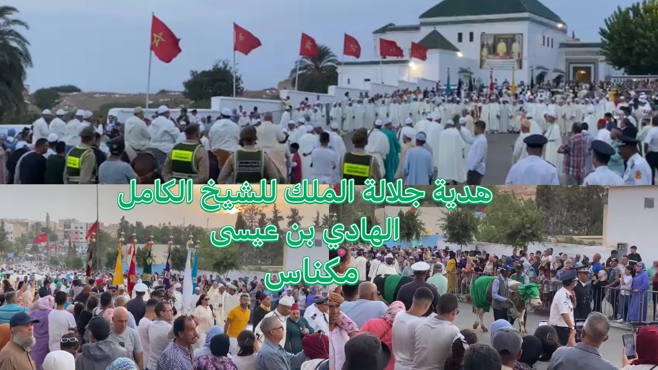 مكناس / هدية القصر الملكي للشيخ الكامل الهادي بن عيسى 2024