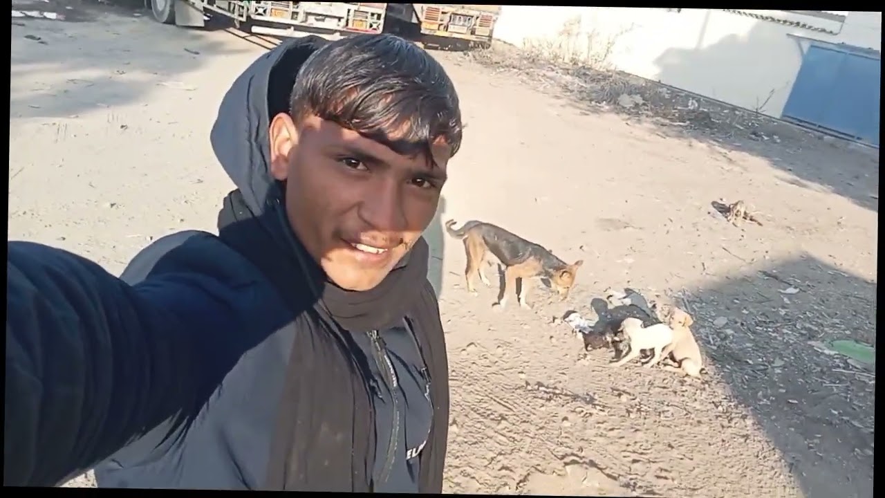 આવા નવા કોમેડી વિડીયો જોવા મા🤣🤣🤣🤣🤣🤣