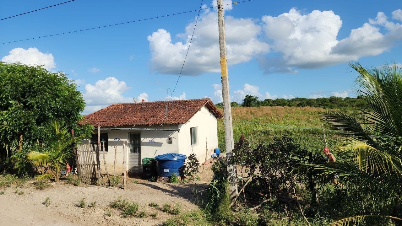 VENDE-SE UM SÍTIO 8 HECTARES EM PASSIRA PERNAMBUCO 200 MIL REAIS (ESCRITURADO)