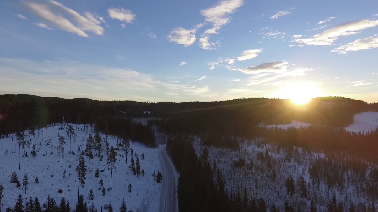 Sunrise above forest & road | Free Drone Footage