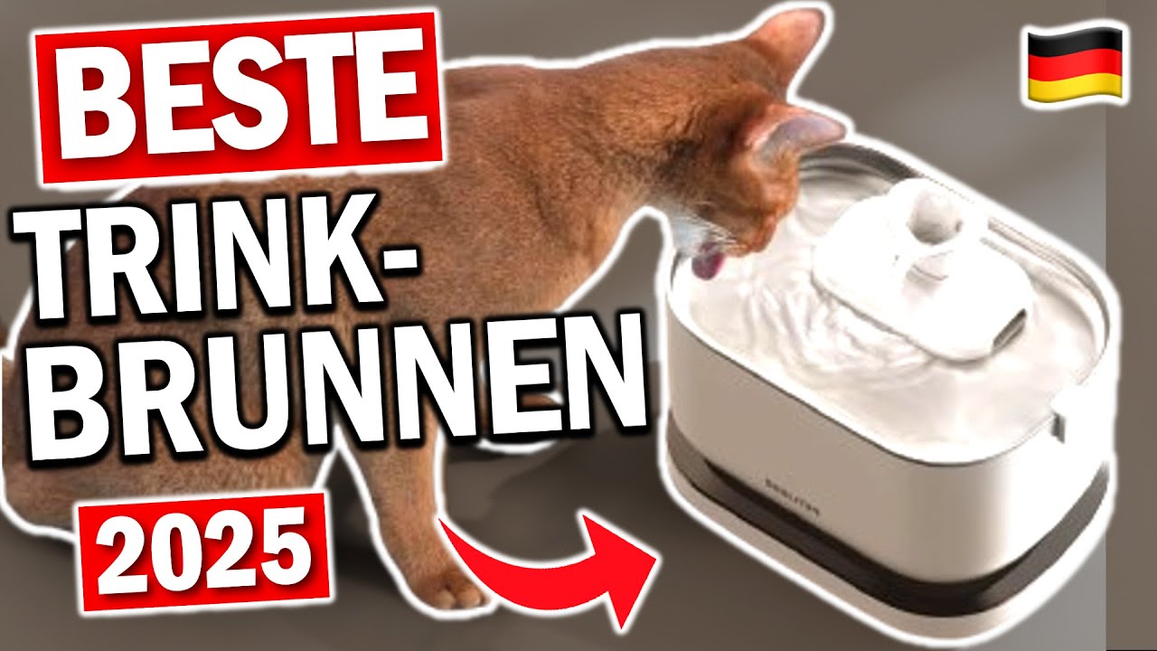 KATZEN TRINKBRUNNEN kaufen: Top 3 Katzen Trinkbrunnen 2026 im Vergleich!