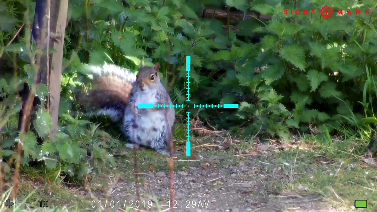 Sightmark Wraith HD Digital Day/Night Vision Riflescope