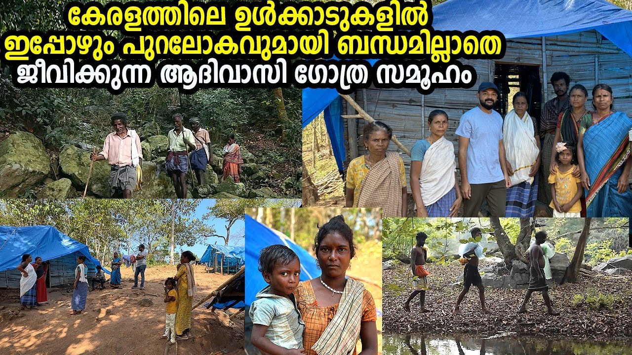 കാടിനുള്ളിലെ നാടോടികളായ ഒരു ആദിവാസി ഗോത്ര സമൂഹംത്തെ കുറിച്ച് കേട്ടിട്ടുണ്ടോ?