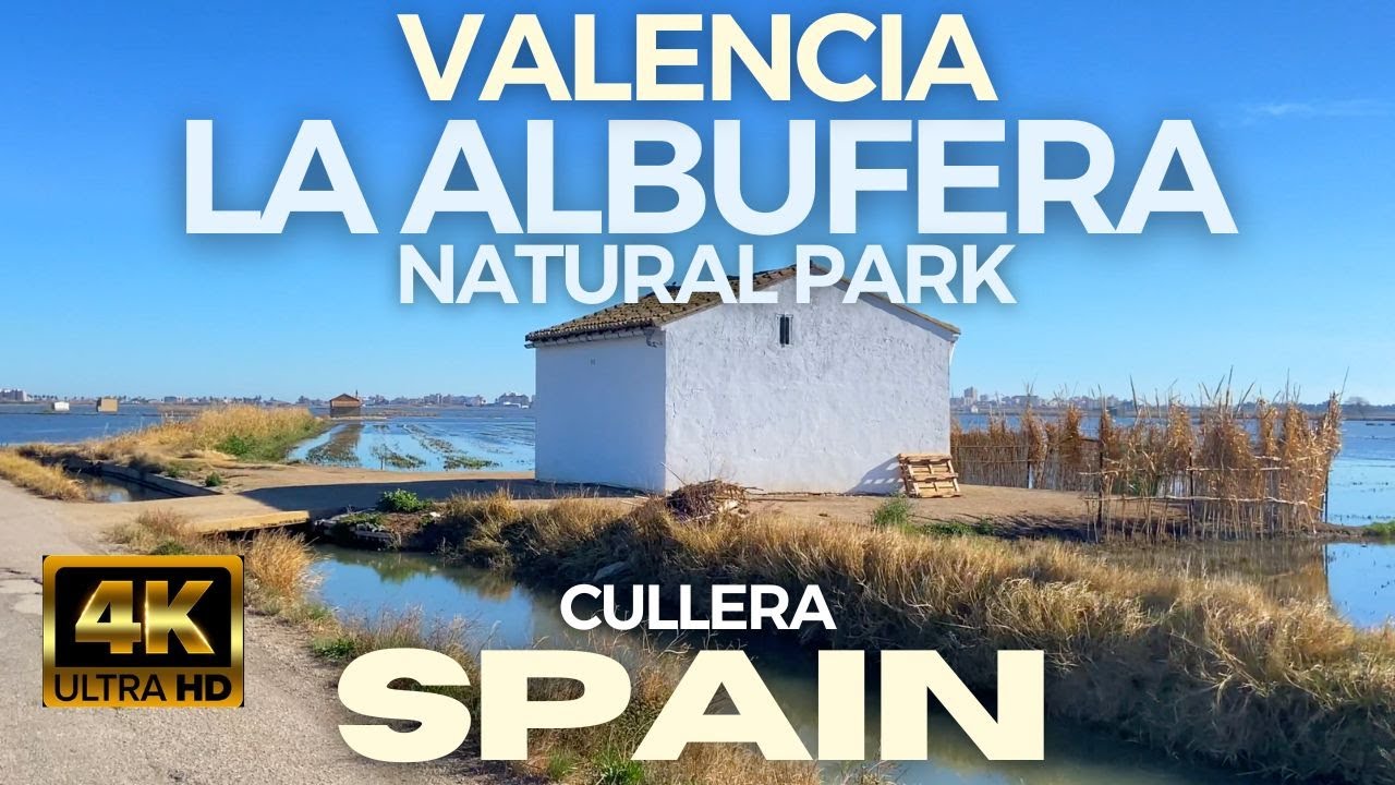 A ride through LA ALBUFERA NATURAL PARK🇪🇸VALENCIA, SPAIN flooded rice fields