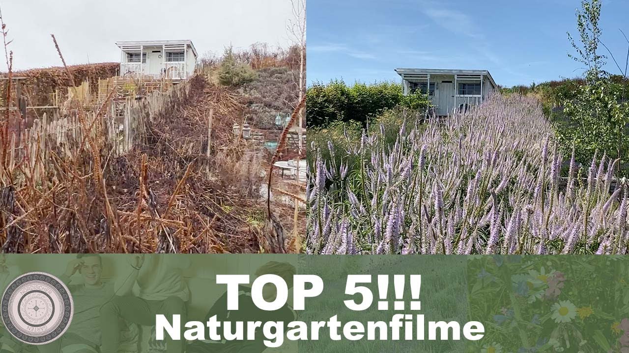 TOP 5 Naturgartenfilme und Wildbienennisthilfen, Insektenhotels säubern WIE und WANN...