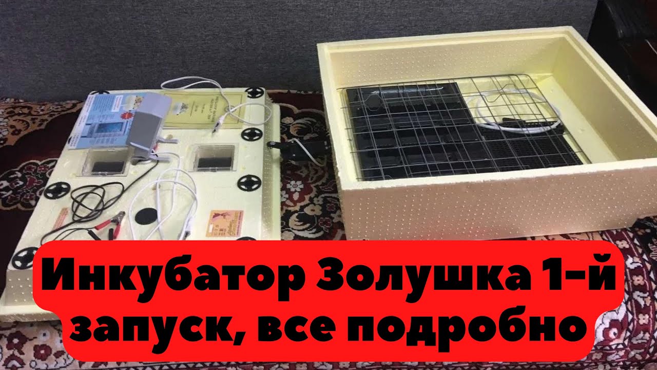 Инкубатор Золушка, Смотреть до первого запуска инкубатора.
