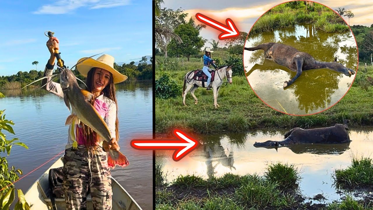 VOLTAMOS DA PESCARIA COM UMA TRISTE NOTÍCIA 😭 MORREU mais um animal.