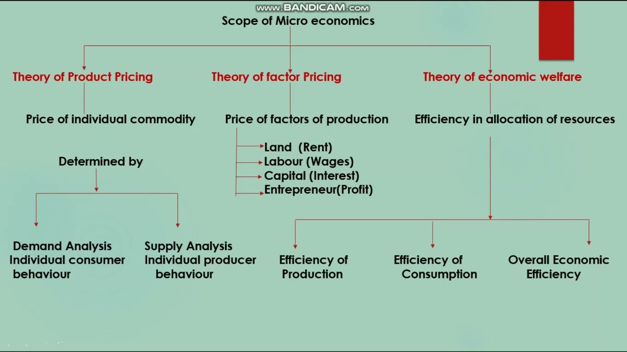 Scope of Microeconomics