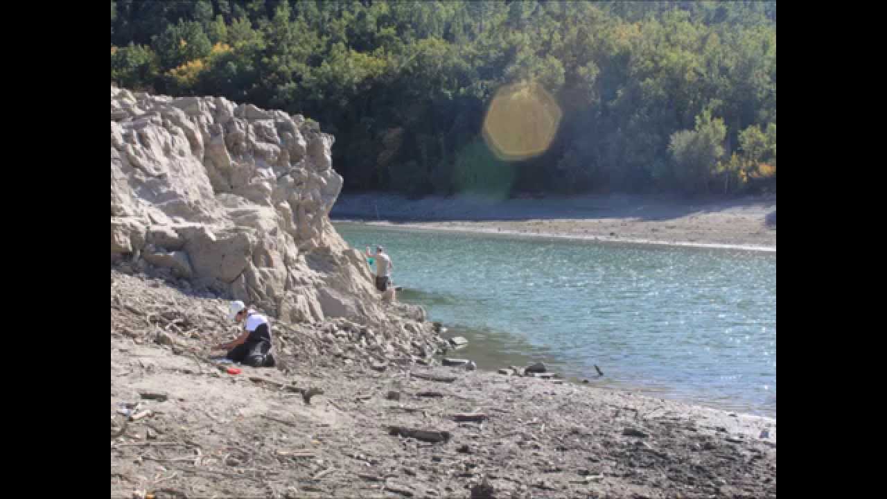 Cassien! The Secrets of the West Arm!