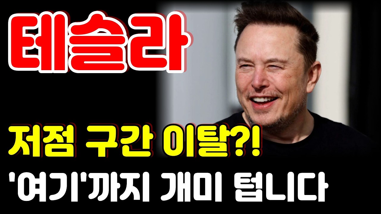 [테슬라 전망]  정부당국 FSD 조사는 노이즈에 불과합니다. 결국 주가는 다시 상승합니다.