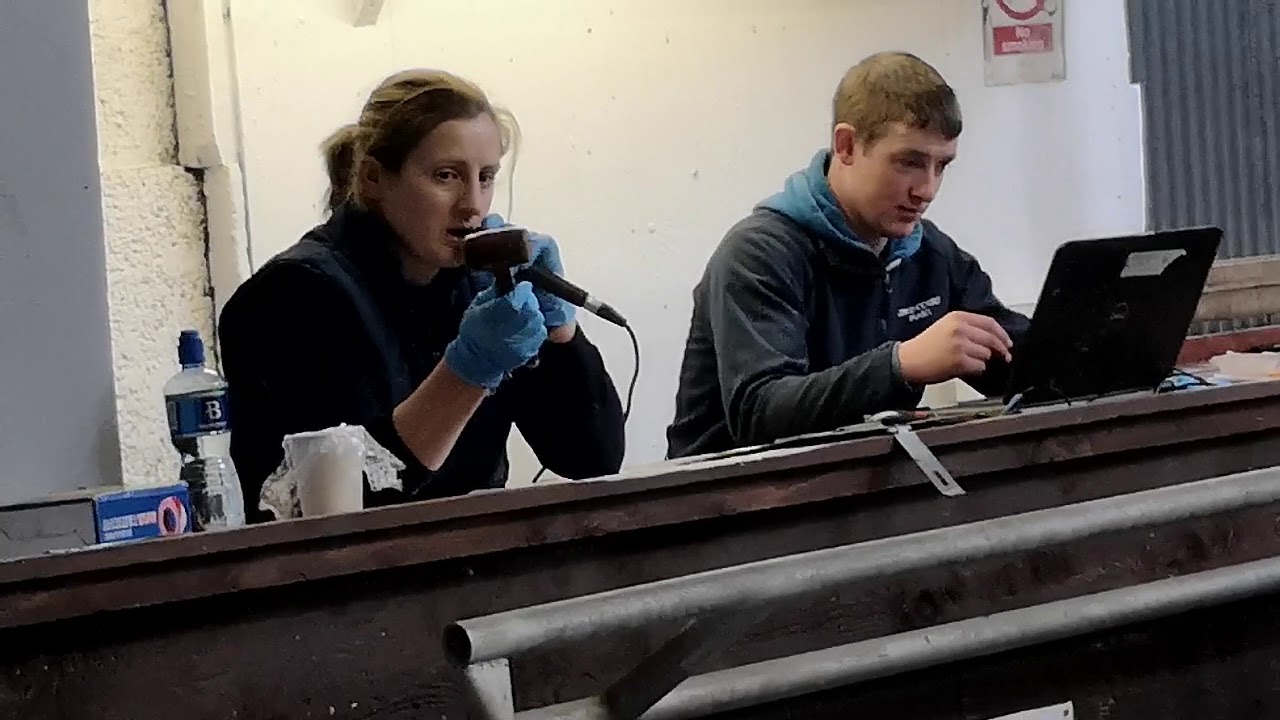 Lisa Keenan., Kingscourt Mart in full flow as she sells beef heifers earmarked for the grass.