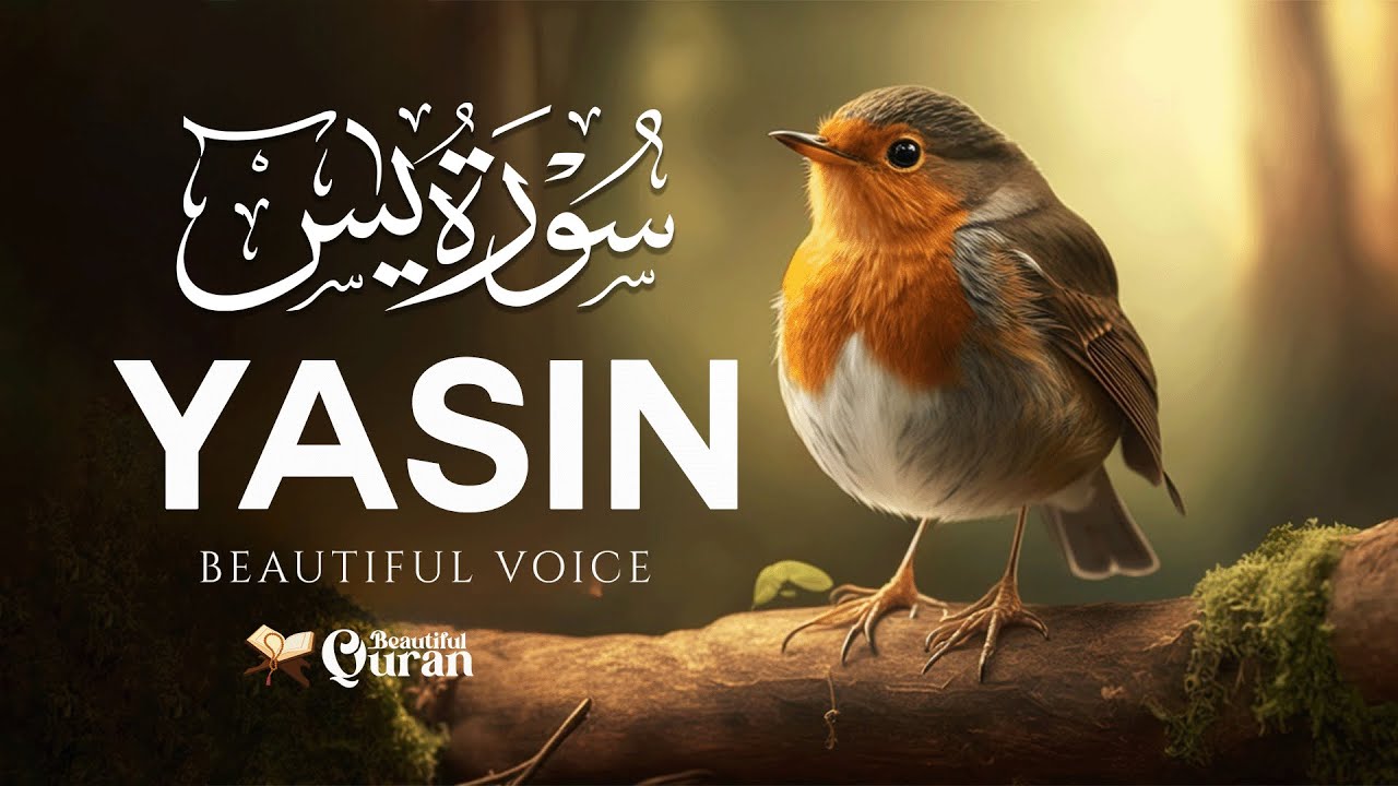 Surah Yasin (Yaseen) سورة يس | Tranquil Moments with a Soothing Recitation | BQ